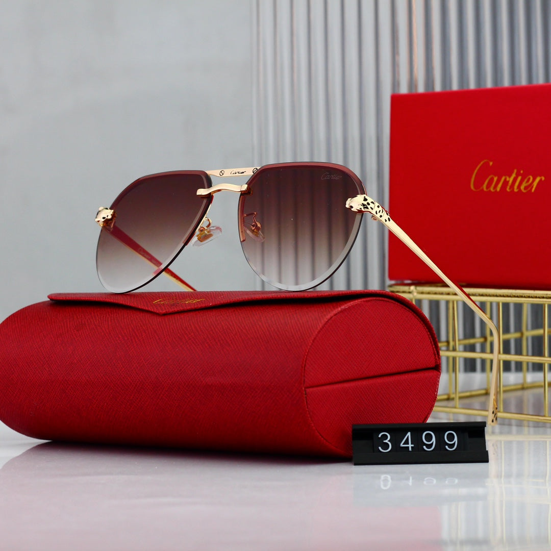 Trendy Timeless Sunglasses