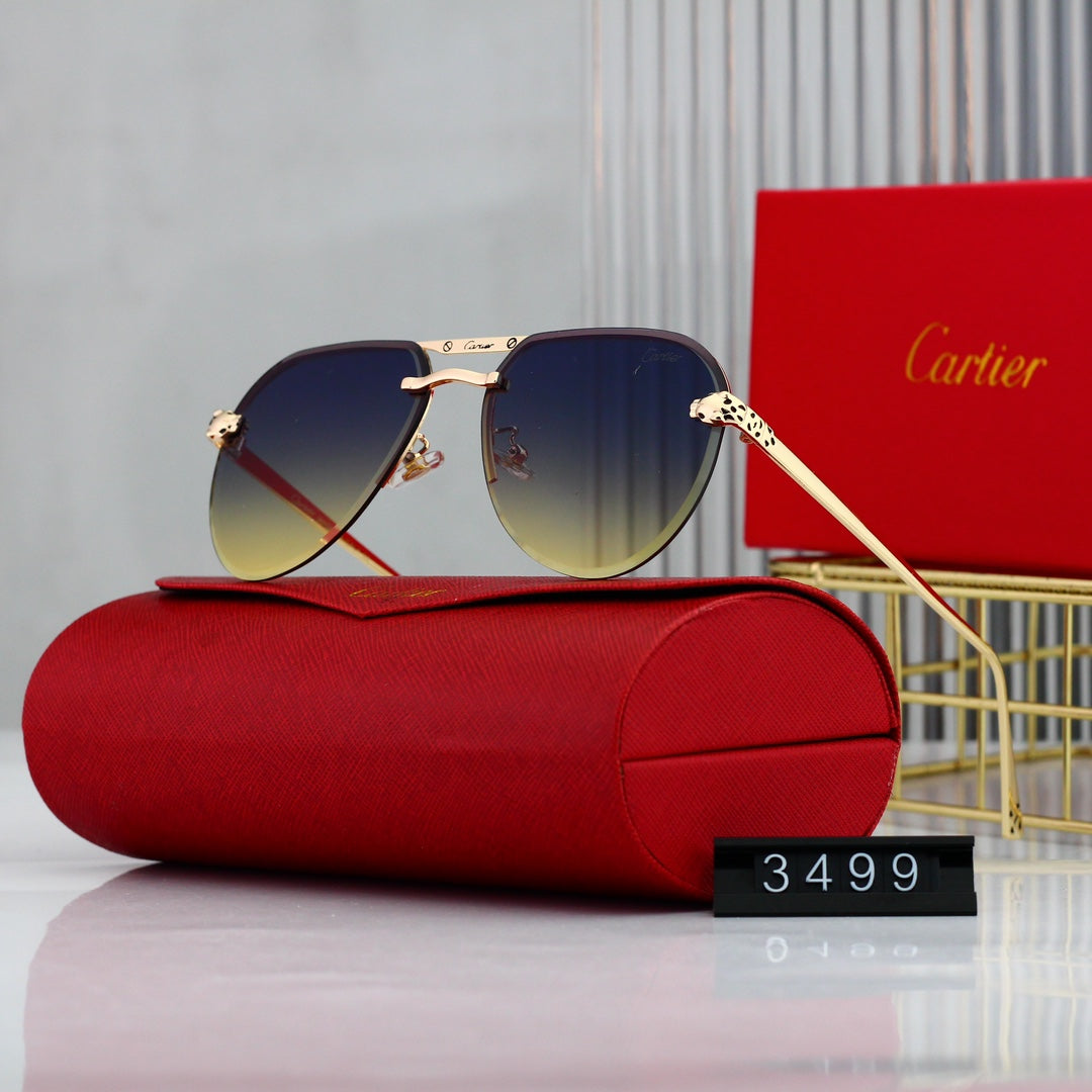 Trendy Timeless Sunglasses