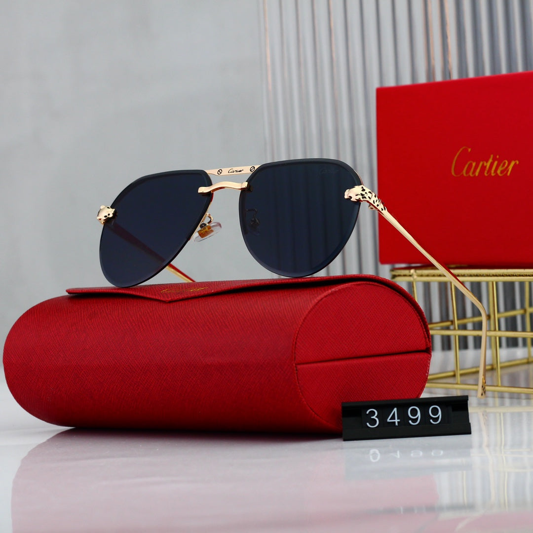 Trendy Timeless Sunglasses