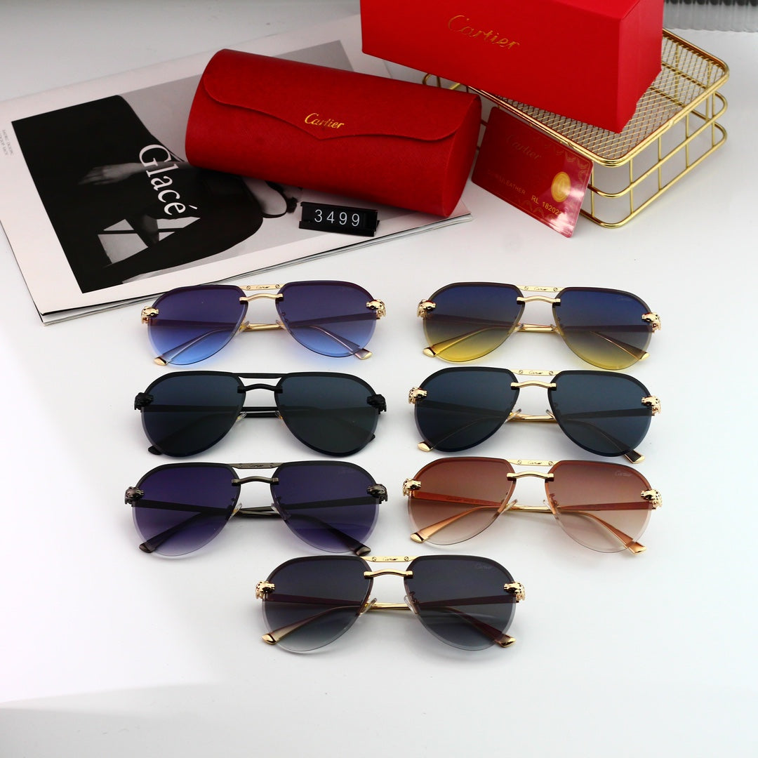 Trendy Timeless Sunglasses