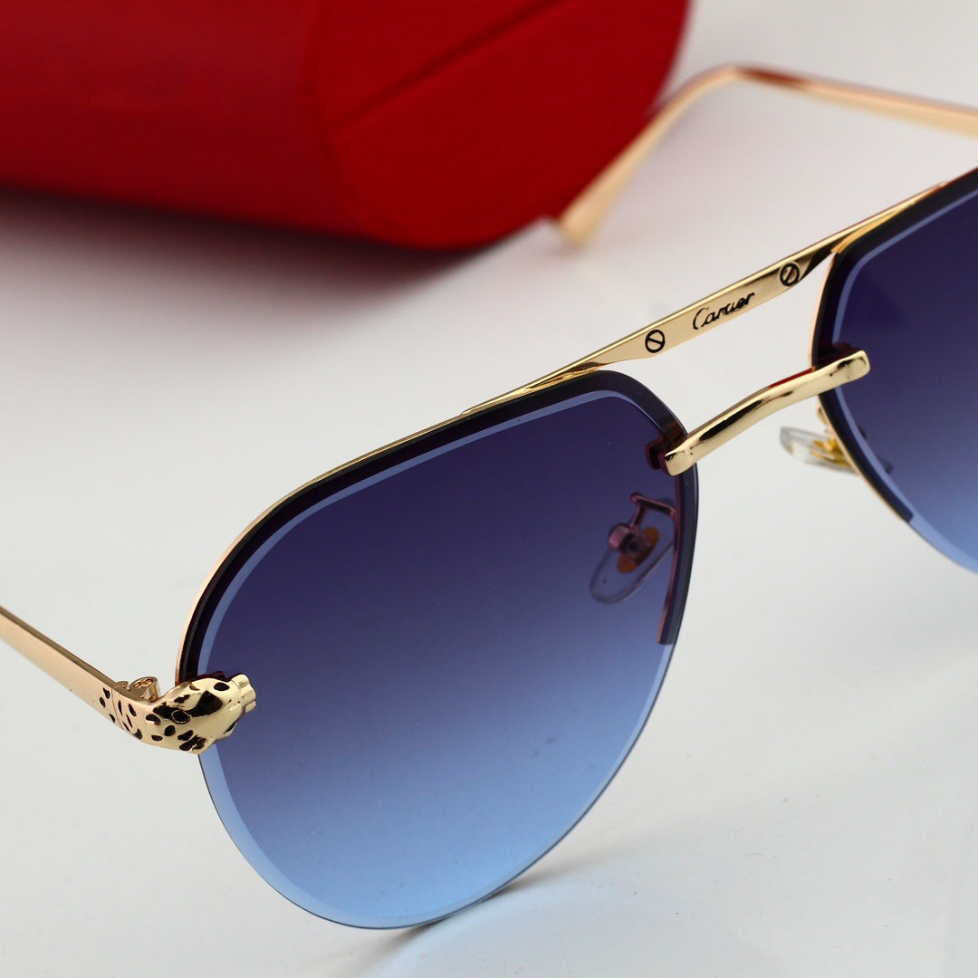 Trendy Timeless Sunglasses