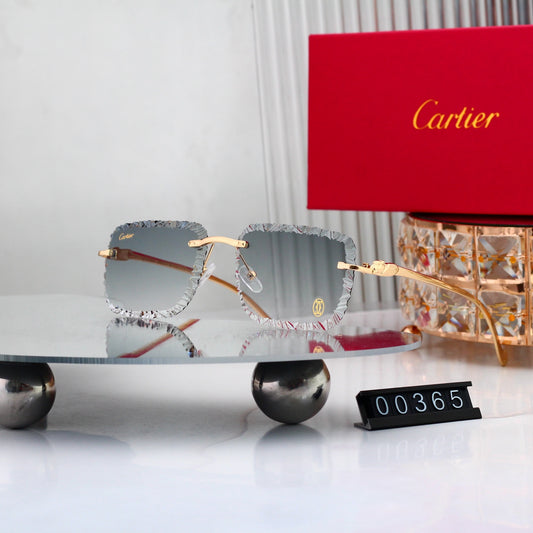 Timeless Fashion Sun Shades